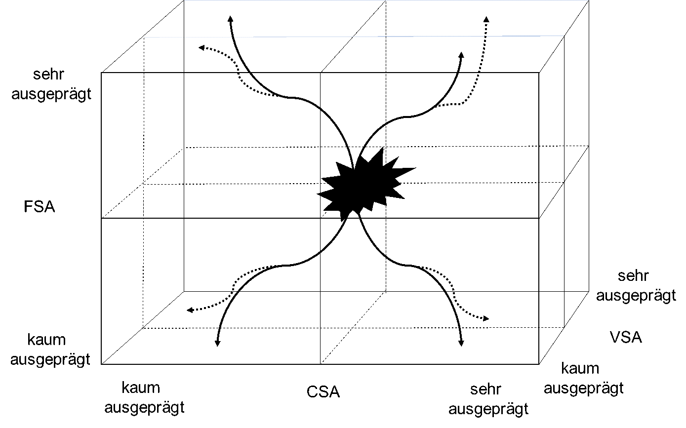 Abb.: Zusammenwirken von CSA, FSA und VSA in der internationalen Interaktion von Unternehmen